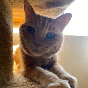 Meet your Posher, Christy